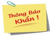 TP.HCM thông báo khẩn các chuyến bay có người nhiễm COVID-19