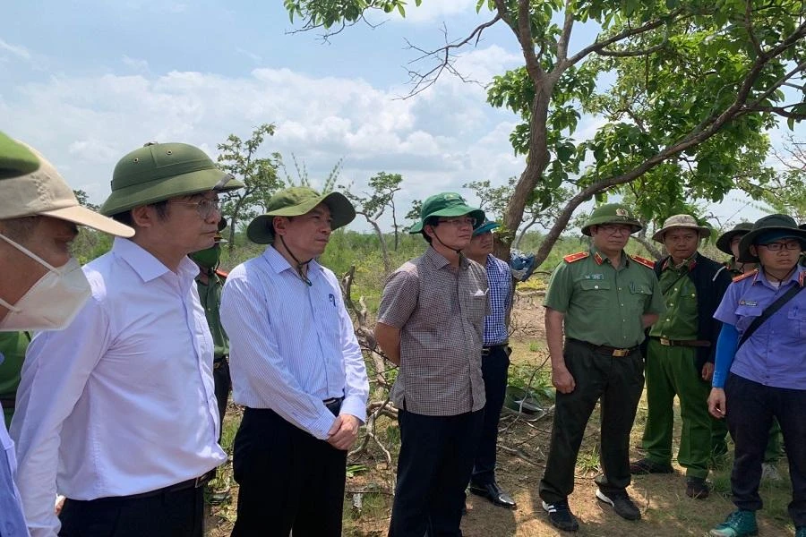 Bí thư Tỉnh ủy cùng đoàn công tác kiểm tra hiện trường vụ phá rừng. Ảnh AH