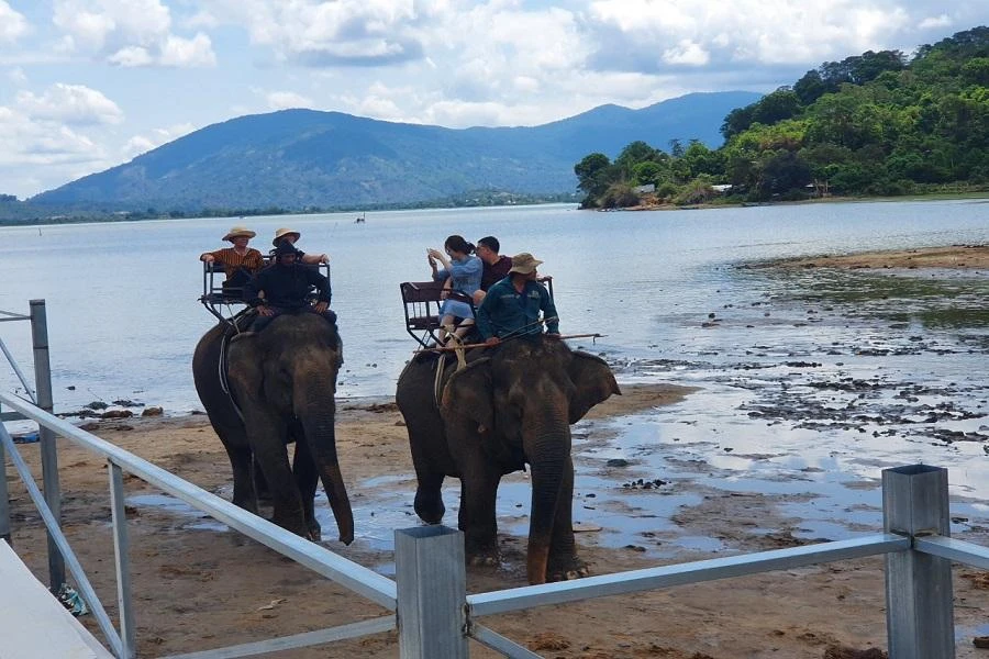 Đắk Lắk đang thực hiện dự án nhằm chuyển đổi mô hình du lịch sang hướng thân thiện với voi. Ảnh HT