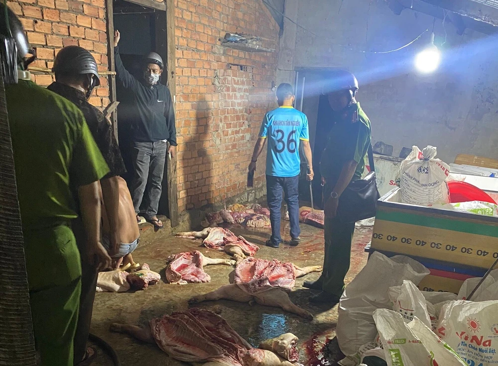 Lực lượng chức năng phát hiện gần một tấn thịt heo hôi thối tại cơ sở giết mổ. Ảnh Q.MINH