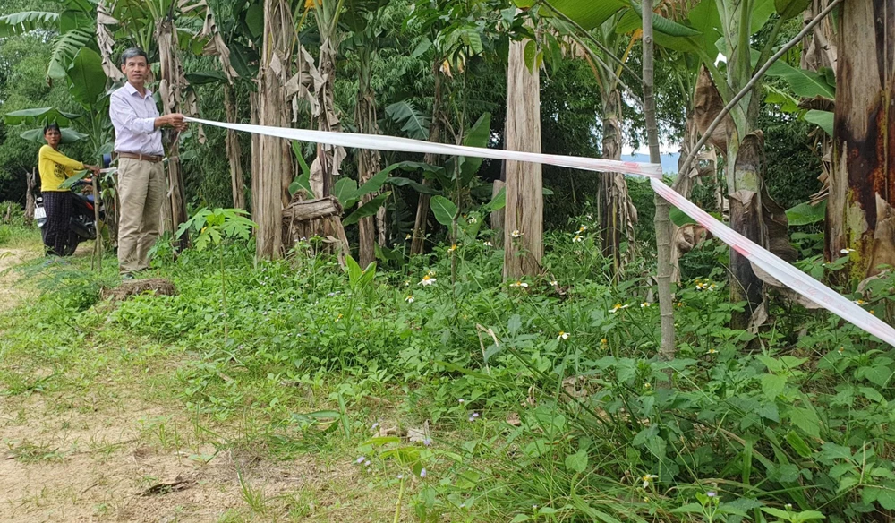 "Tình trạng sạt lở hai bên bờ sông Hà Thanh rất nghiêm trọng, ảnh hưởng đến hàng chục hộ dân ở gần sông. Tuy nhiên, việc khắc phục vượt quá khả năng" - ông Trần Văn Bài, Chủ tịch UBND xã Canh Vinh cho biết.