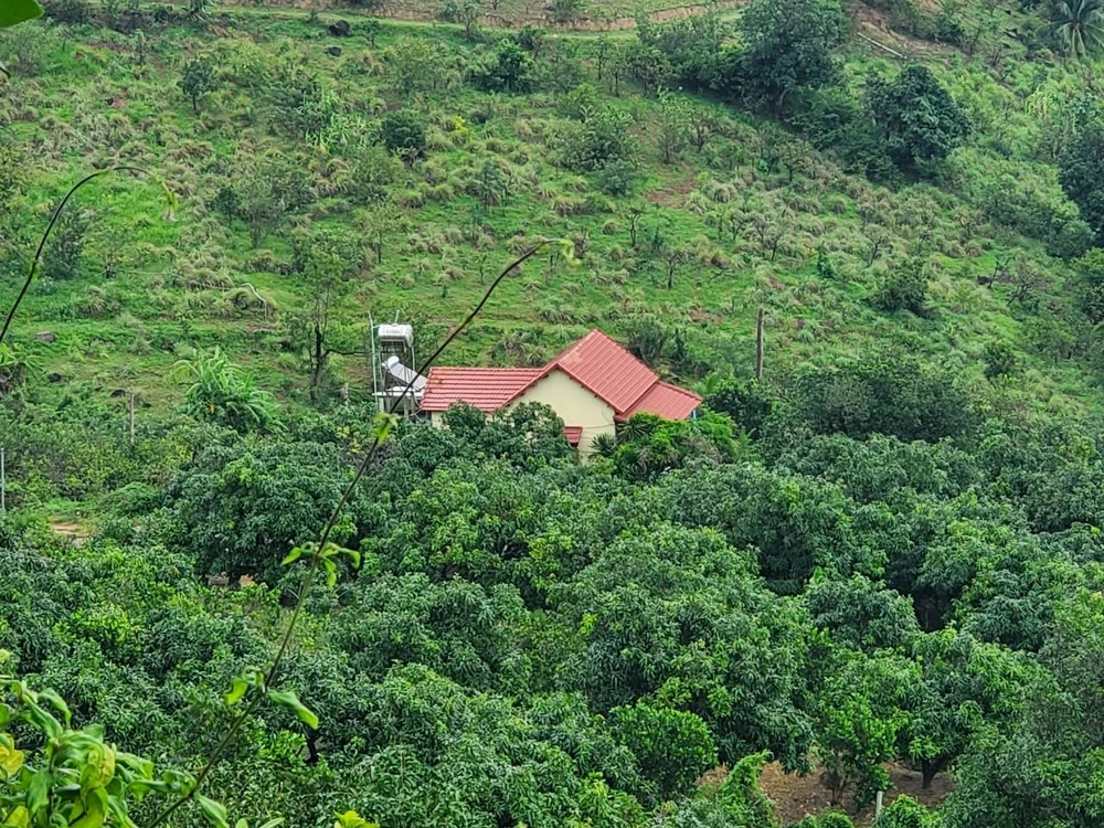 Nhiều trường hợp xây dựng lấn chiếm, không phép, sai phép trên địa bàn phường Ghềnh Ráng. Ảnh QN Nhiều trường hợp xây dựng lấn chiếm, không phép, sai phép trên địa bàn phường Ghềnh Ráng. Ảnh QN