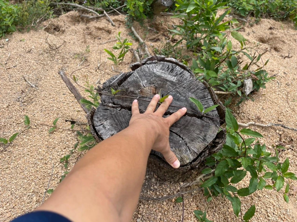 Cơ quan chức năng đã khởi tố vụ án để tiếp tục điều tra. Ảnh HĐ