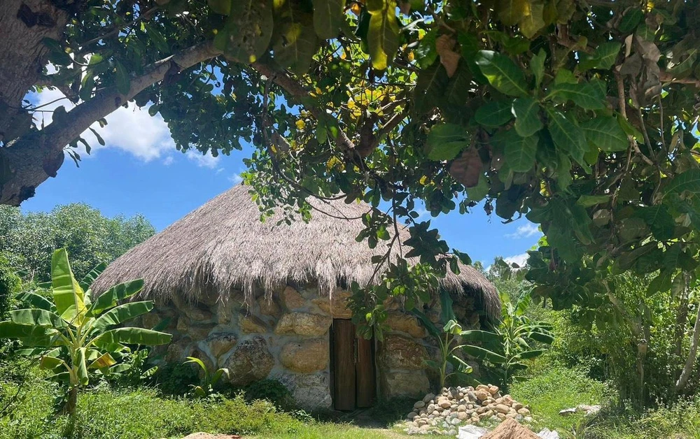 Khu vực đất được UBND huyện Vĩnh Thạnh cấp cho ông Tranh làm khu nghỉ dưỡng. Ảnh TD