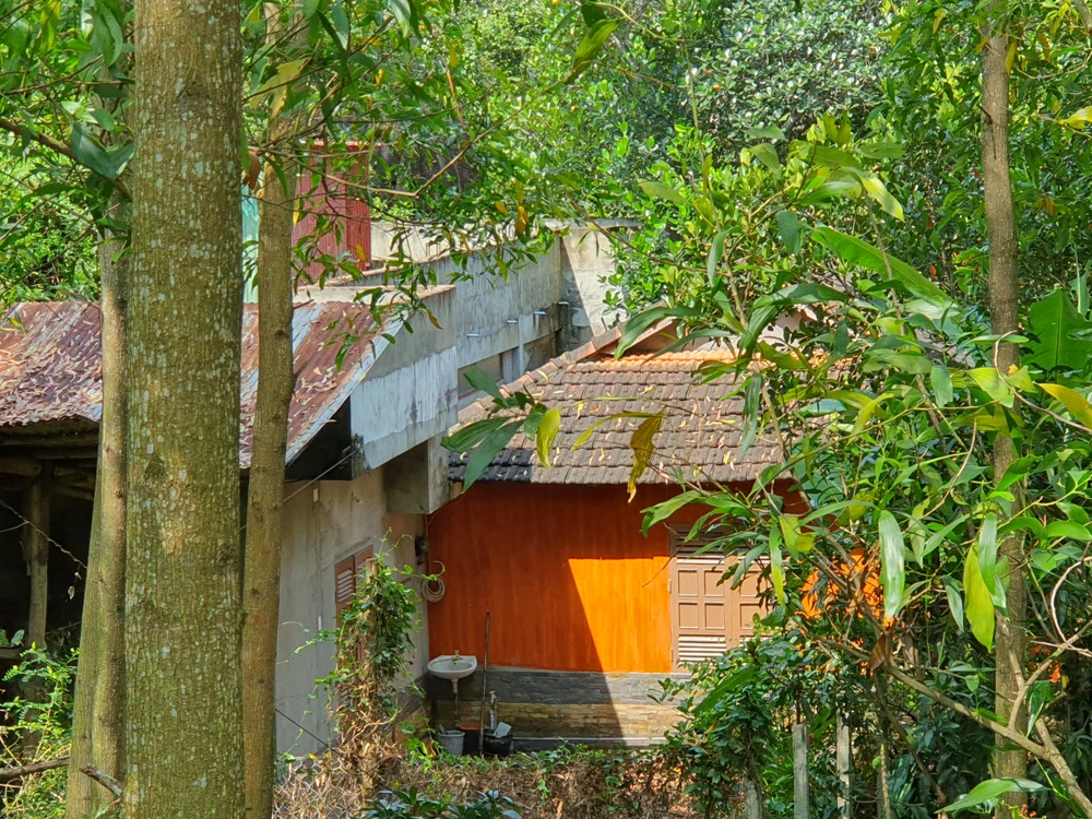 Khu nhà xây dựng không phép trên đất rừng của một cựu giám đốc sở ở Bình Định. Ảnh QN
