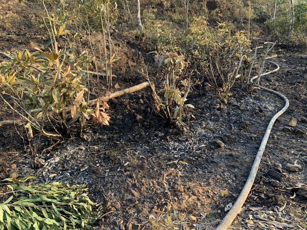 Vụ cháy xảy ra trên núi Bà Hoả, khu vực phường Đống Đa