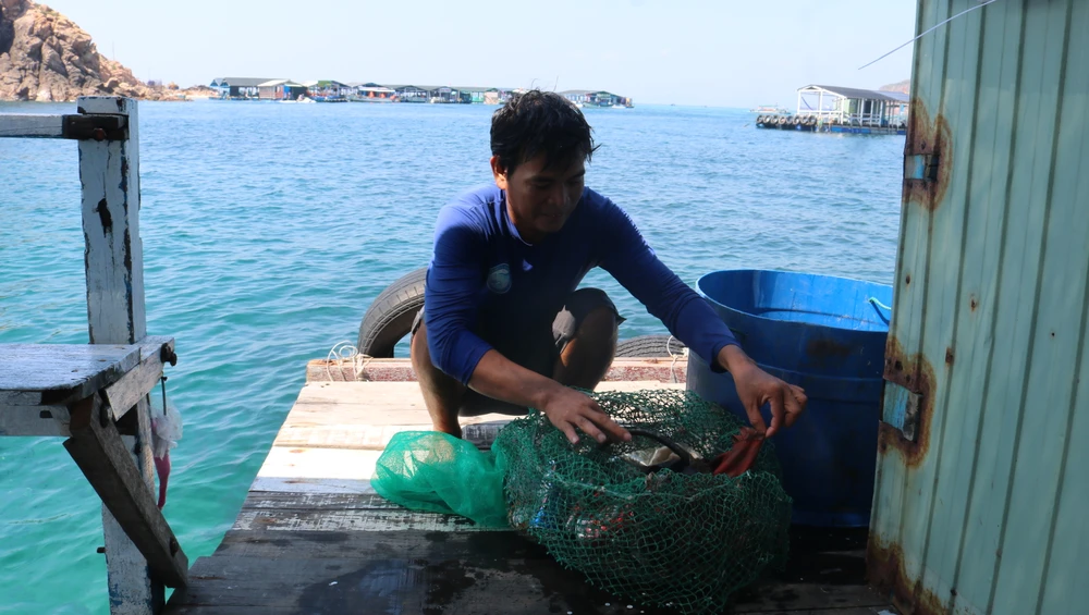 Lượng rác thải thu gom được sẽ cho vào phuy và đưa về đất liền để xử lý. Ảnh QN