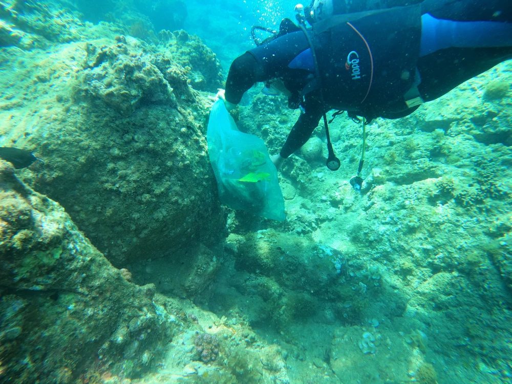 Những hốc đá, hẻm đá ở dưới đáy biển thường là nơi đọng lại nhiều rác thải nhất. Ảnh QN