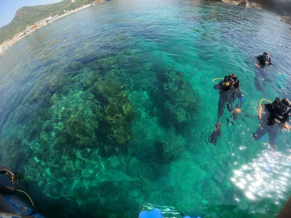 "Công việc này xuất phát từ tình yêu biển, yêu thiên nhiên, chứ không vì cơm áo gạo tiền" Ảnh QN