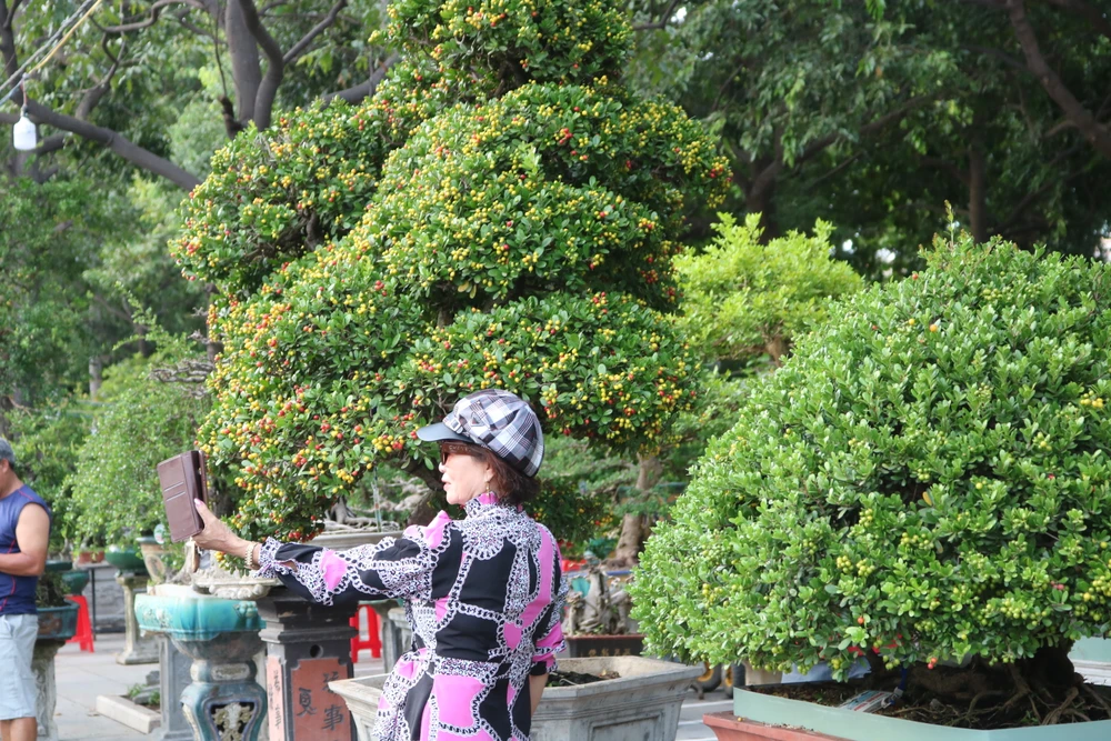 Trong những ngày này, nhiều người không quên cơ hội check-in với dàn bonsai khủng. Ảnh: QN