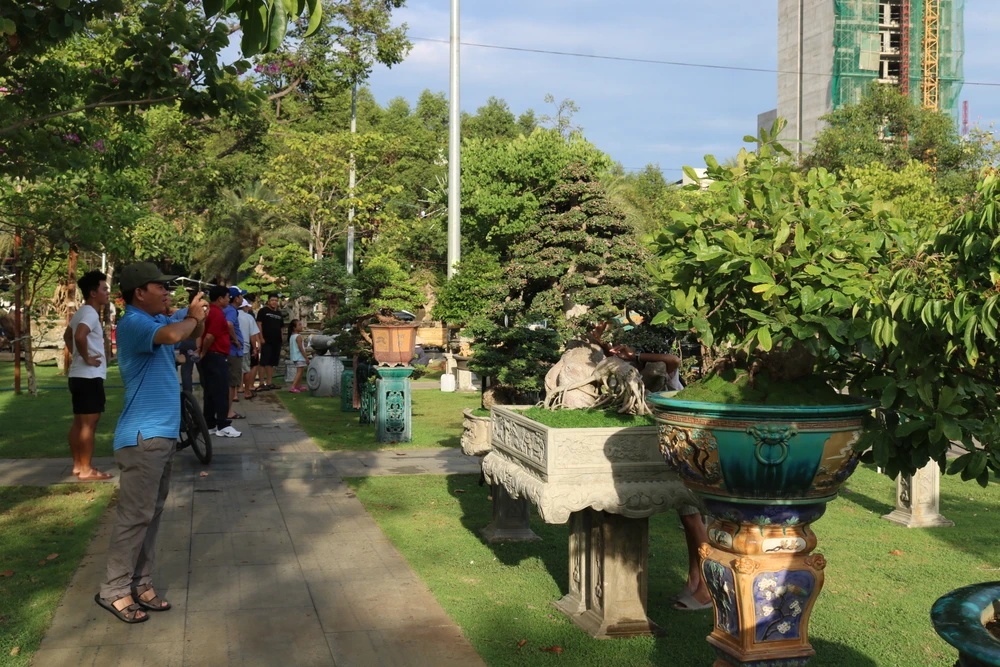 Đặc sắc nhất trong buổi triển lãm là dàn bonsai với hàng trăm tác phẩm độc đáo, mỗi cây có tuổi đời lên đến hàng trăm năm. Ảnh: QN