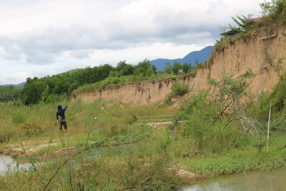 Trong thời gian qua, hai bên bờ sông Hà Thanh đoạn qua xã Canh Hiển sạt lở nghiêm trọng. Ảnh: QN Trong thời gian qua, hai bên bờ sông Hà Thanh đoạn qua xã Canh Hiển sạt lở nghiêm trọng. Ảnh: QN