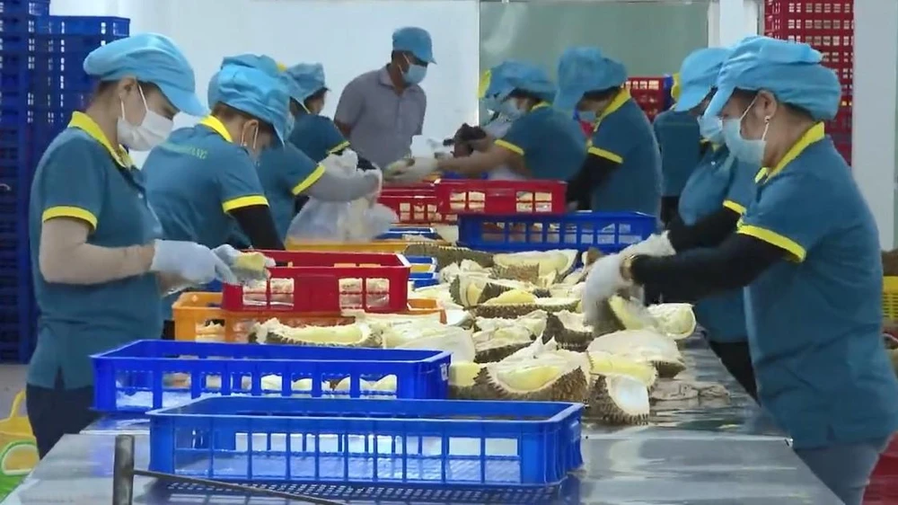 Bình Phước đang đẩy mạnh phát triển công nghiệp. Ảnh: Báo Bình Phước