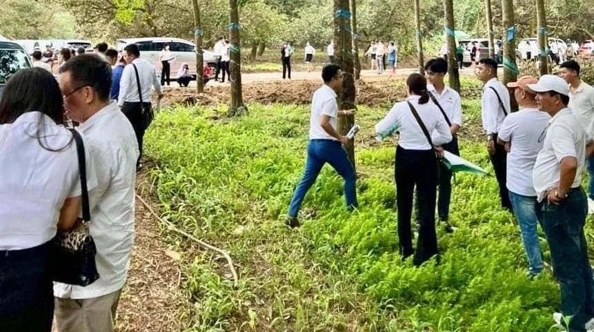 Hàng trăm người tập trung ở khu đất đang trồng cây cao su để mua bán đất. Ảnh: Người dân cung cấp Hàng trăm người tập trung ở khu đất đang trồng cây cao su để mua bán đất. Ảnh: Người dân cung cấp