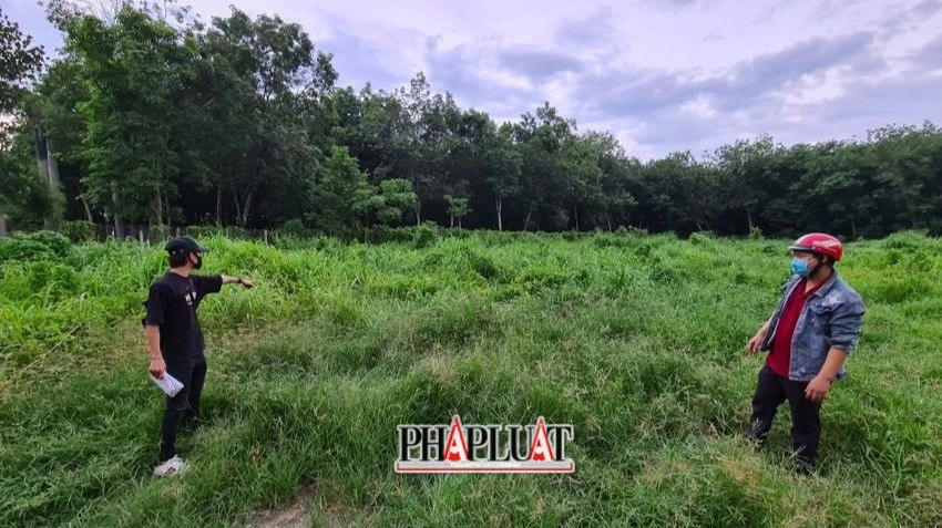 Khu đất hai bị cáo tự ý vẽ dự án. Ảnh: LÊ ÁNH