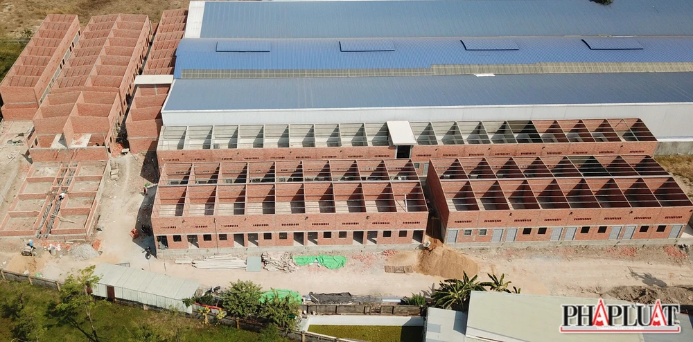 Dãy nhà trọ xây dựng trái phép trên diện tích hơn 2.700 m2. Ảnh: LÊ ÁNH