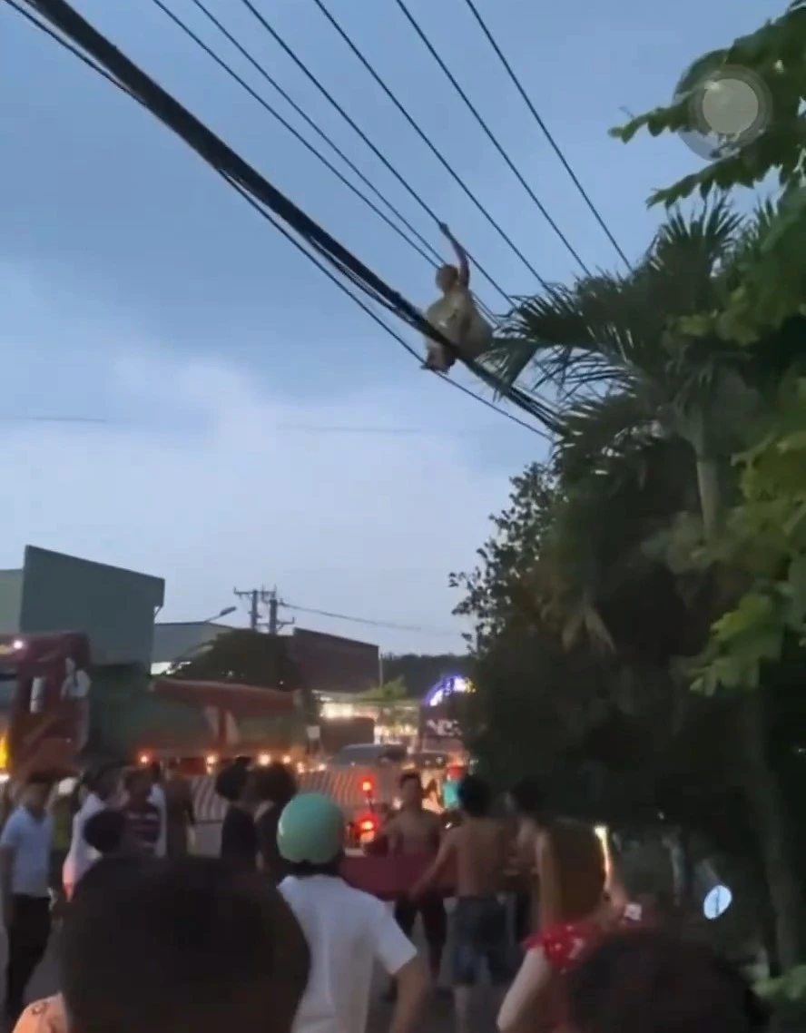 Người dân thót tim khi thấy người phụ nữ leo lên đường dây điện. Ảnh: Người dân cung cấp