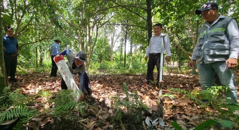Bình Dương cắm cọc xác định ranh giới thu hồi, giải phóng mặt bằng nơi tuyến đường Vành đai 3 đi qua. Ảnh: LA