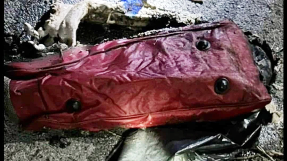 Túi du lịch đựng thi thể chưa bị cháy hết. Ảnh: CACC