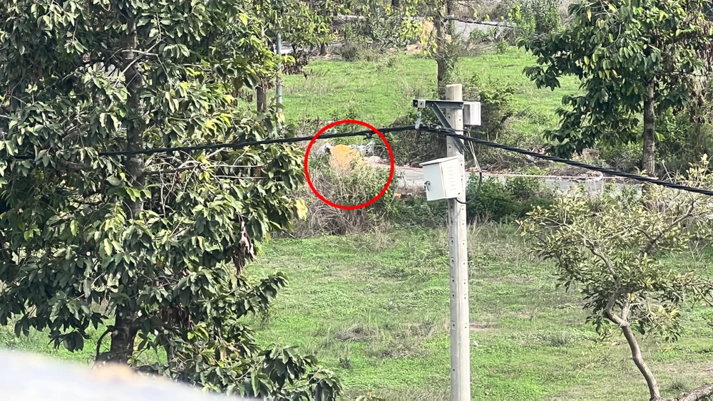 Nơi phát hiện thi thể người bị đốt. Ảnh: LÊ ÁNH