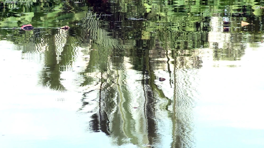 Chỉ trong một buổi, cả nhóm đã làm sạch một con kênh ở phường Vĩnh Phú, trả lại sự trong xanh như nó vốn có. Ông Trần Ngọc Hưng, Phó Chủ tịch UBND phường Vĩnh Phú cho biết địa phương ghi nhận đánh giá cao hoạt động của nhóm Bình Dương xanh. Nhóm hoạt động trên tinh thần tự nguyện, vì vậy Đoàn phường đã tham mưu UBND phường hỗ trợ tiêm vaccine ngừa uốn ván, hỗ trợ ăn uống cho các thành viên trong Đội hoạt động thu gom rác khơi thông dòng chảy của nhóm. Thời gian tới, phường Vĩnh Phú mong muốn nhóm Bình Dương Xanh tiếp tục hỗ trợ địa phương trong việc giữ gìn vệ sinh môi trường. Phường sẽ vận động các nhà hảo tâm ủng hộ các dụng cụ bảo hộ hay các phần quà động viên cho nhóm.