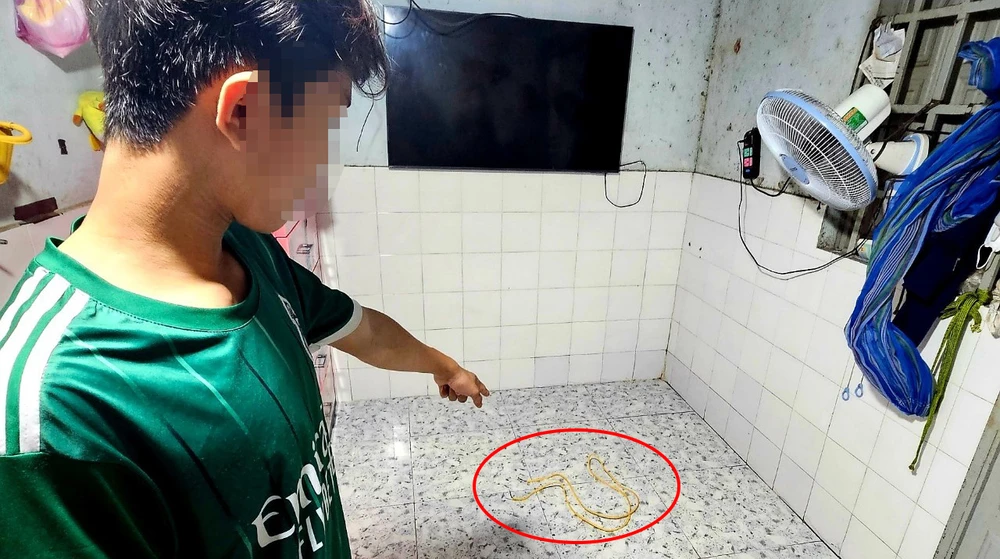 Sợi dây điện người chồng dùng để chích điện vợ. Ảnh: KD