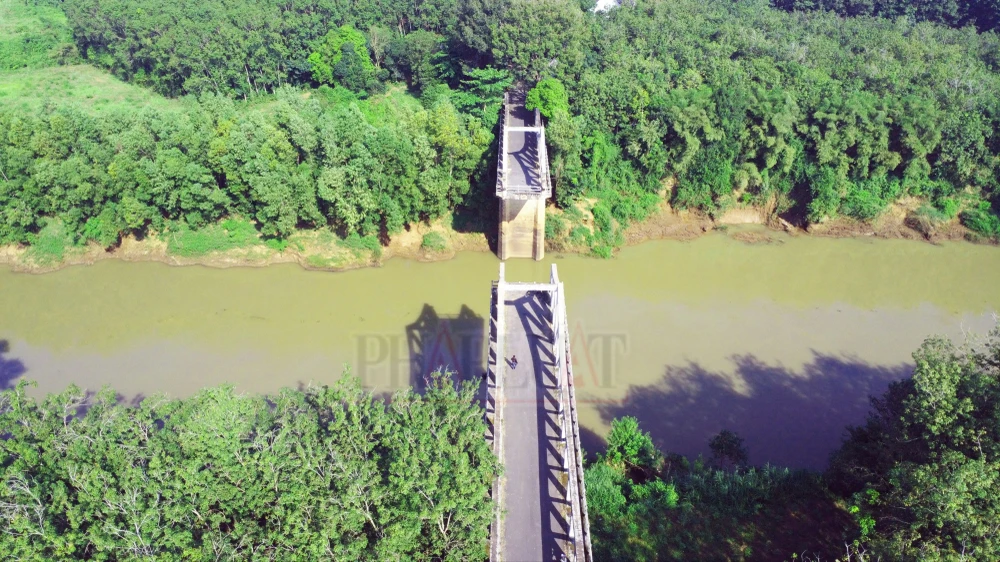 can-canh-cau-gay-o-binh-duong-cay-cau-nhieu-nguoi-chon-de-quyen-sinh (2).JPG