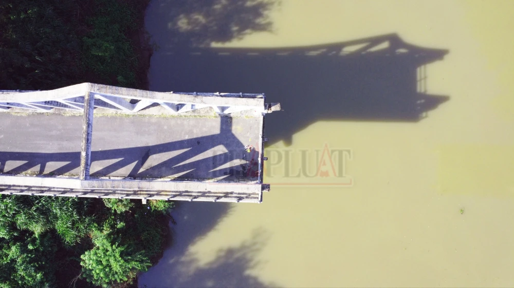 can-canh-cau-gay-o-binh-duong-cay-cau-nhieu-nguoi-chon-de-quyen-sinh (3).JPG