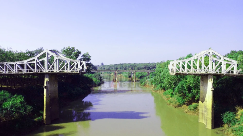 can-canh-cau-gay-o-binh-duong-cay-cau-nhieu-nguoi-chon-de-quyen-sinh (4).JPG