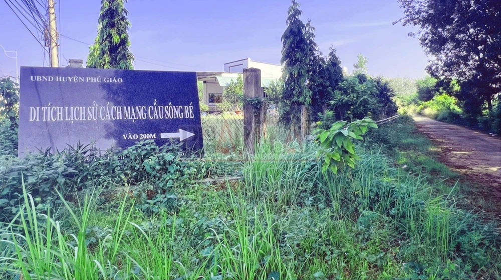 can-canh-cau-gay-o-binh-duong-cay-cau-nhieu-nguoi-chon-de-quyen-sinh (5).jpg