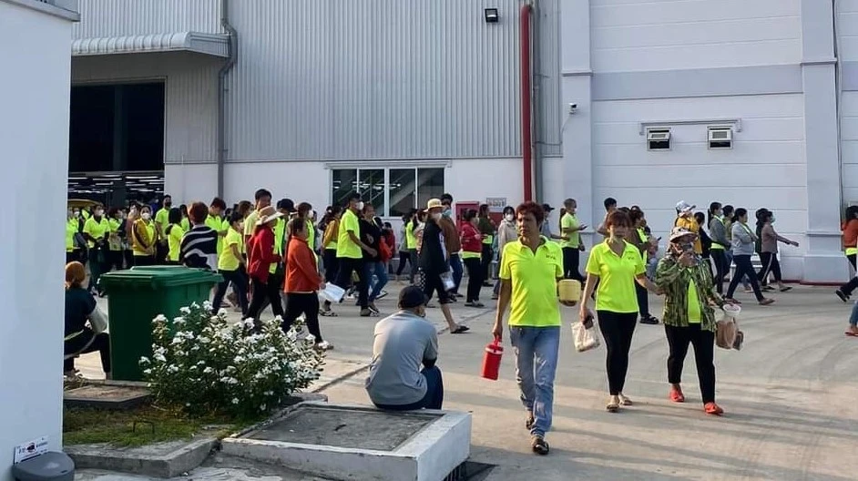 ngừng việc tập thể (1).jpg