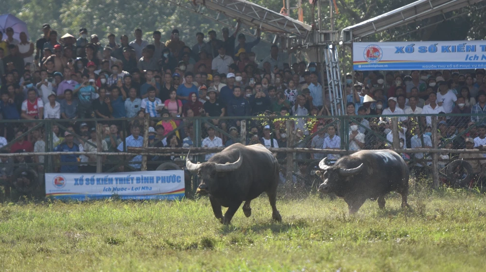 bình phước (2).jpg