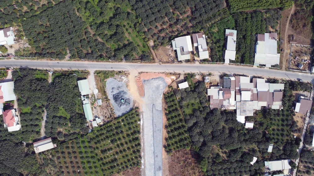 cầu bạch đằng (4).jpg