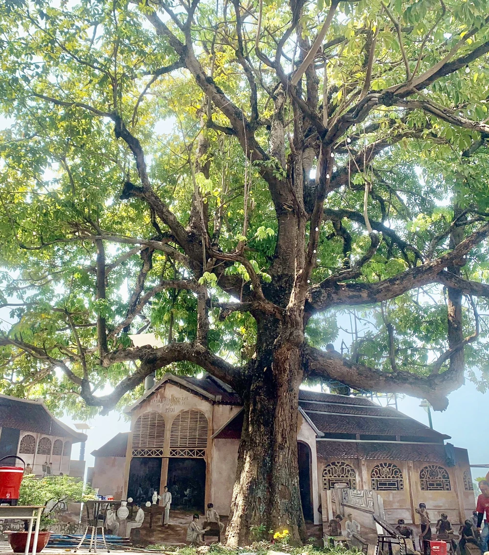 bình dương (2).jpg