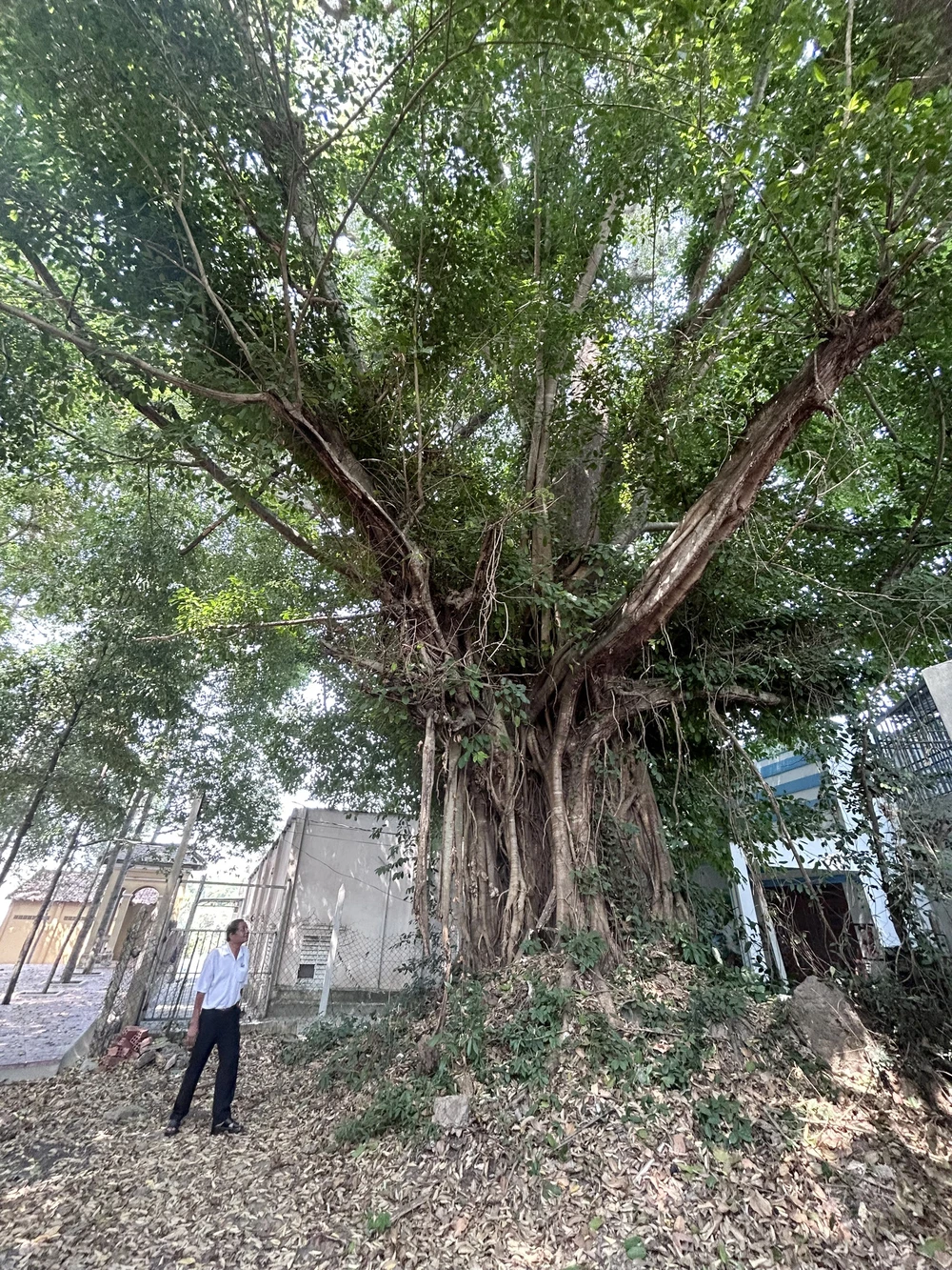 bình dương (6).jpg