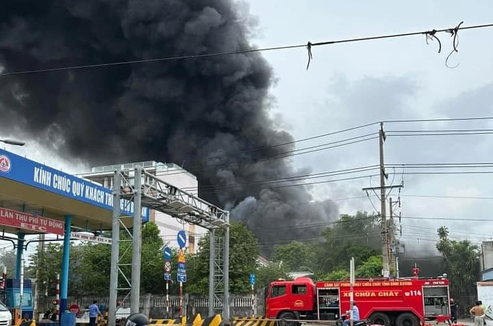 cháy (2).jpg