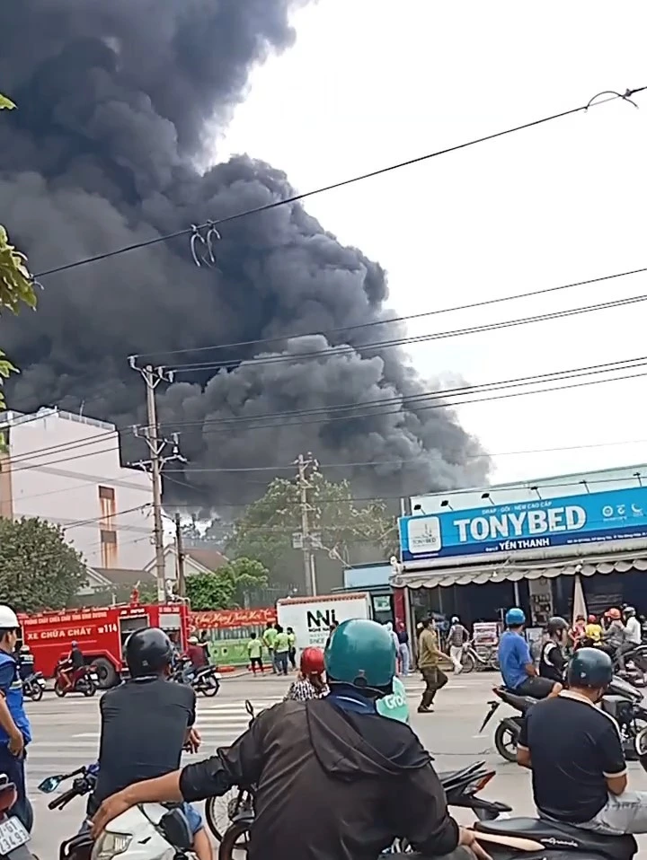 cháy (3).jpg