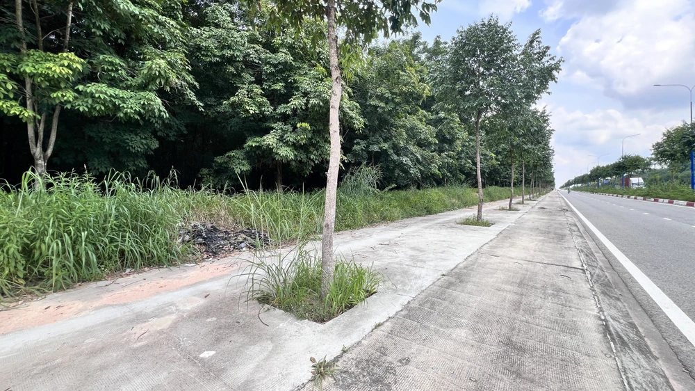 cô gái khỏa thân (1).jpg