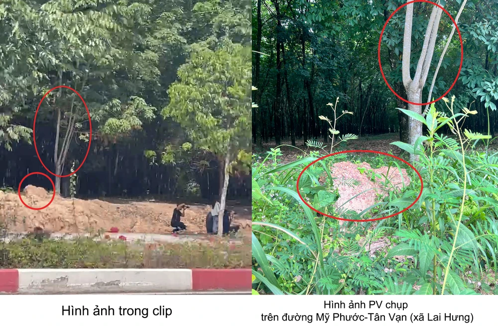 cô gái khỏa thân (4).jpg