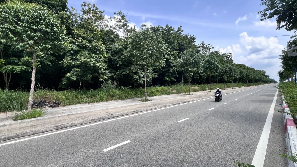 cô gái khỏa thân (5).jpg