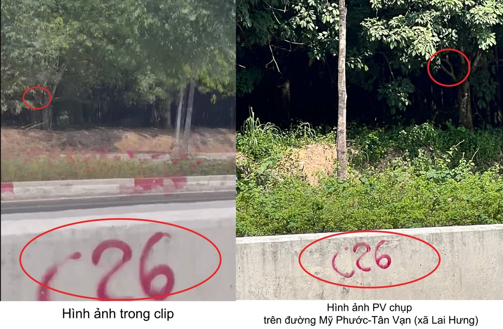 cô gái khỏa thân (7).jpg