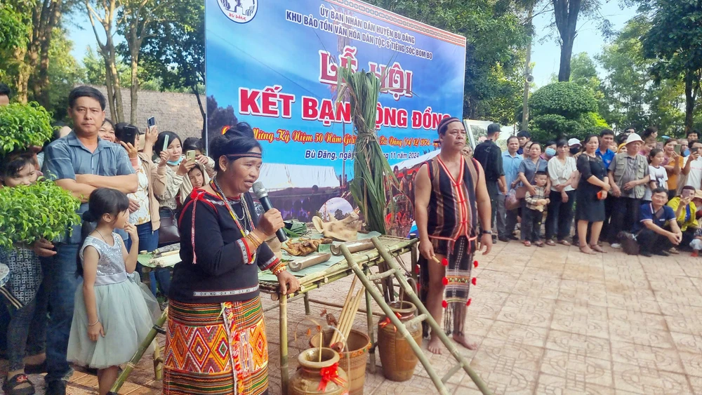 Kỉ lục Việt Nam (9).jpg