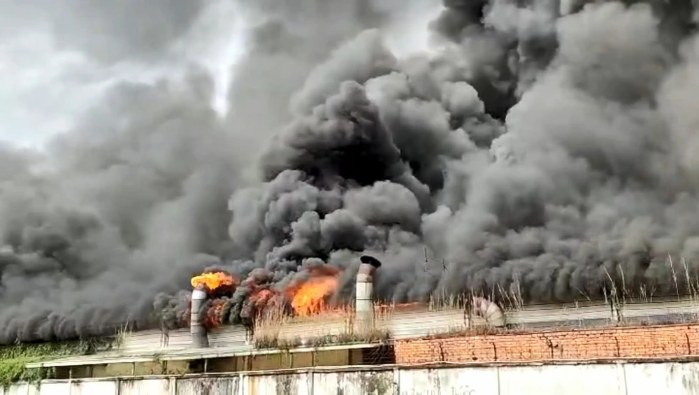 một công ty (2).jpg