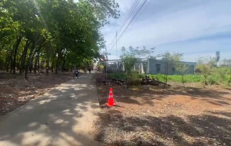 người đàn ông.jpg