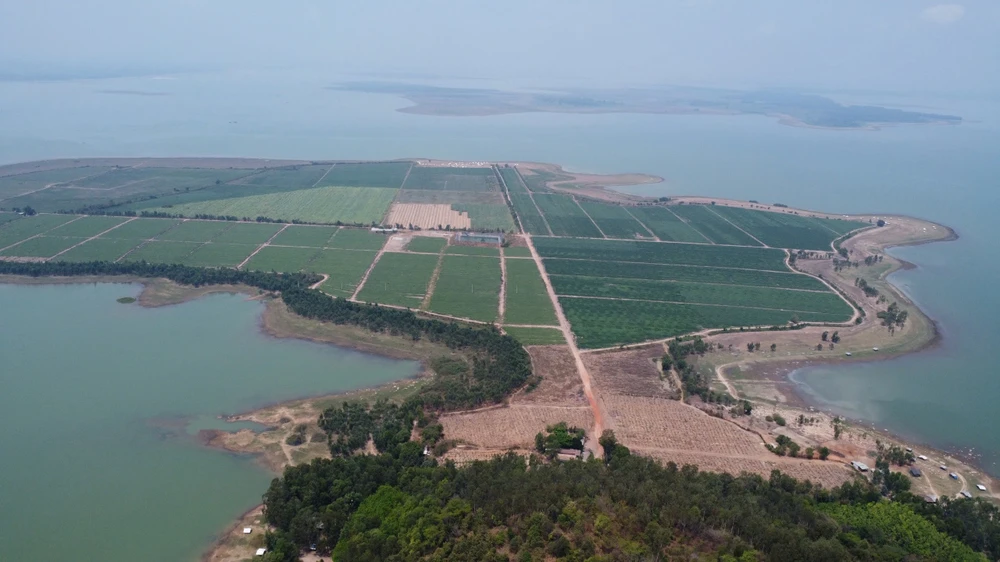 hồ dầu tiếng.jpg