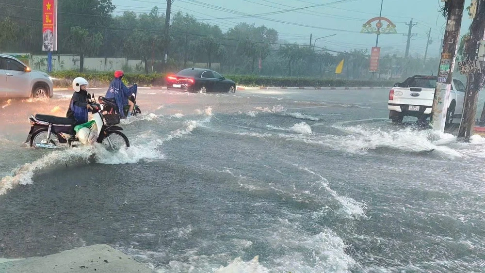 cơn mưa lớn (4).jpg