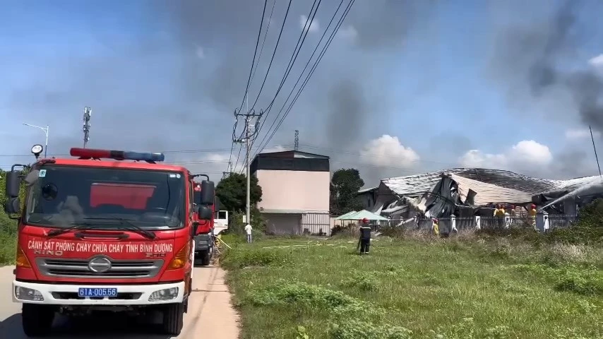 cháy công ty (1).jpg