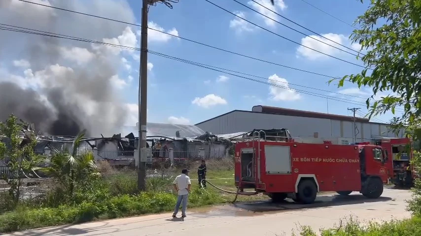 cháy công ty (4).jpg