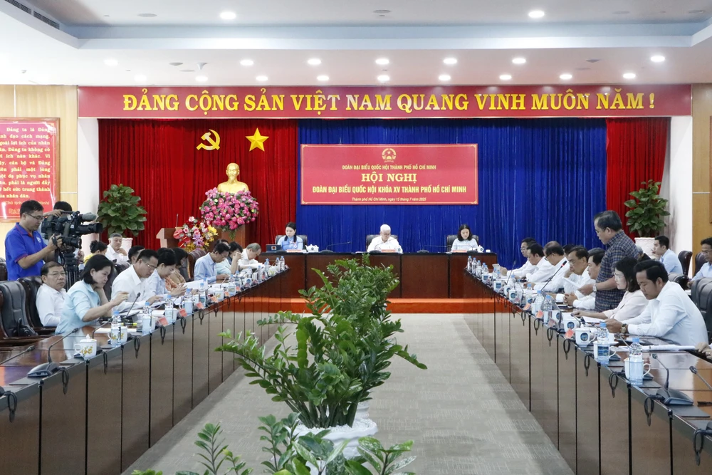 đại biểu quốc hội (3).JPG