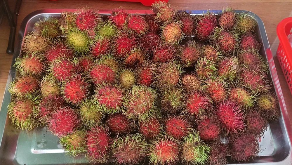 thủ tục hành chính (6).jpg